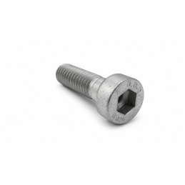 Nº 12 - TORNILLO M10X30 DIN 6912 - C24210060000