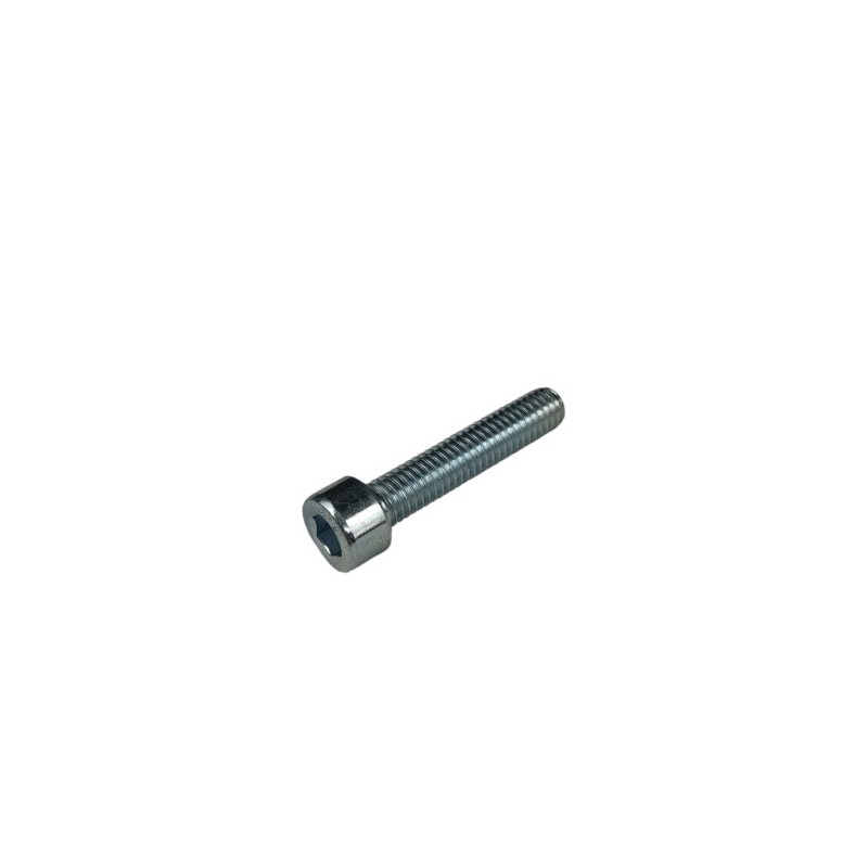 Nº 21 - TORNILLO ALLEN TCCE 6.30 - 3145000000