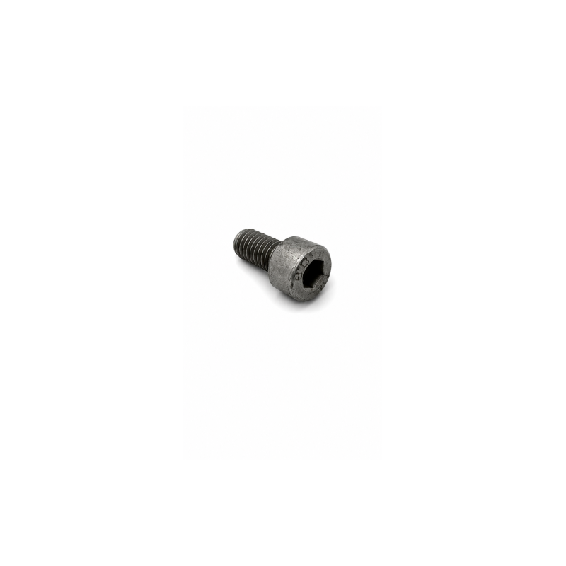 Nº 38 - TORNILLO ESP. PMS - 029010250000