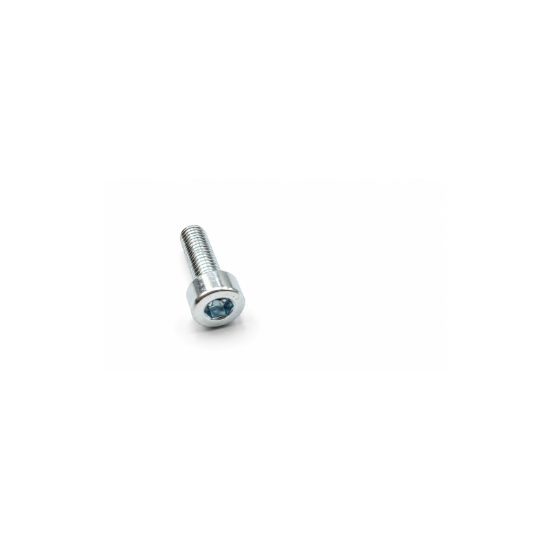 Nº 43 - TORNILLO M3X10 UNI 5931 DIN 912 - C24240480000