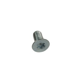 Nº 6 - TORNILLO TSP TORX M6X12 - 10.9/12.9 - C24900020000