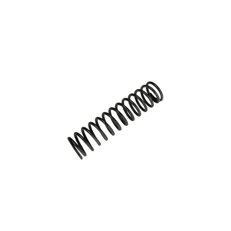 Nº 7 - MUELLE REGULACION 250 CC - 026090210000