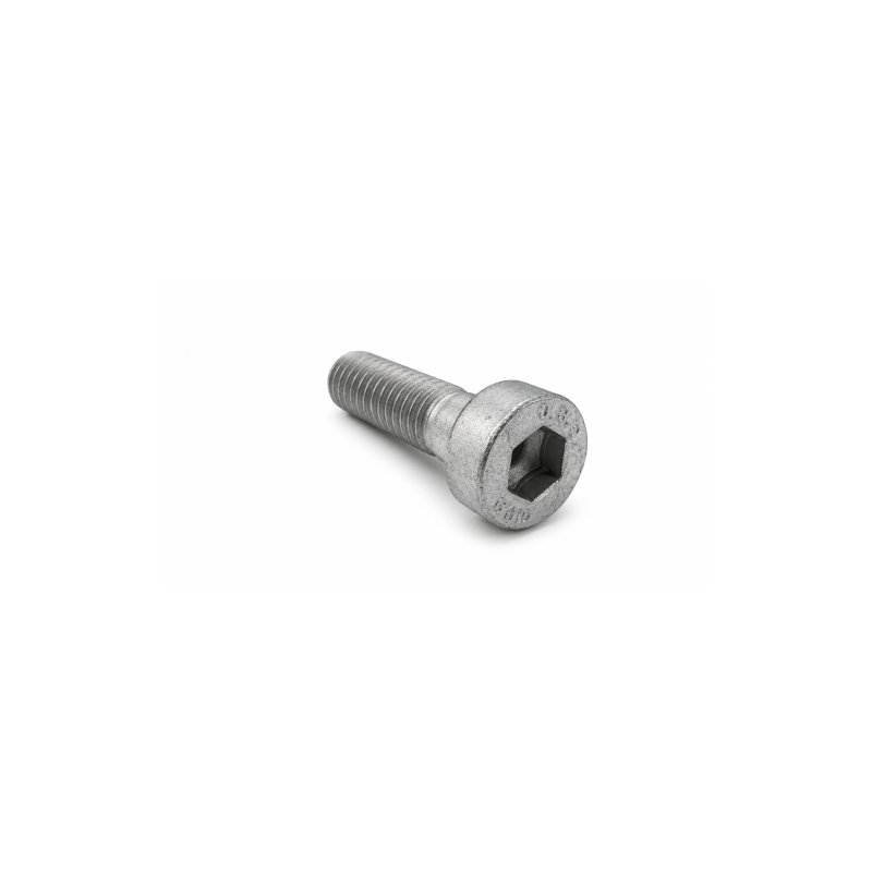 Nº 12 - TORNILLO M10X30 DIN 6912 - C24210060000