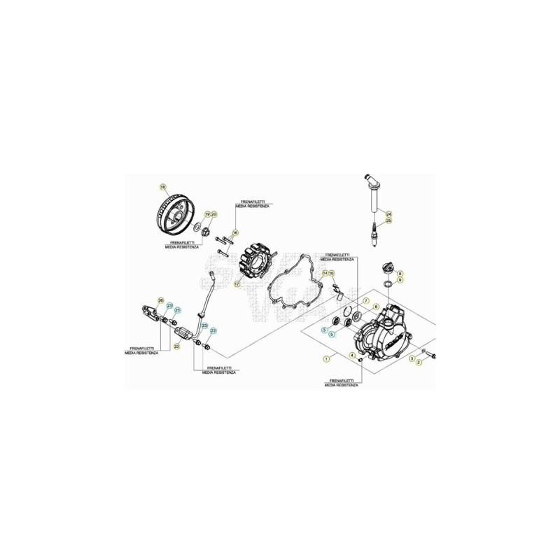 Nº 16 - TORNILLO TCCE 5.30 CMPL FIL - C24240390000