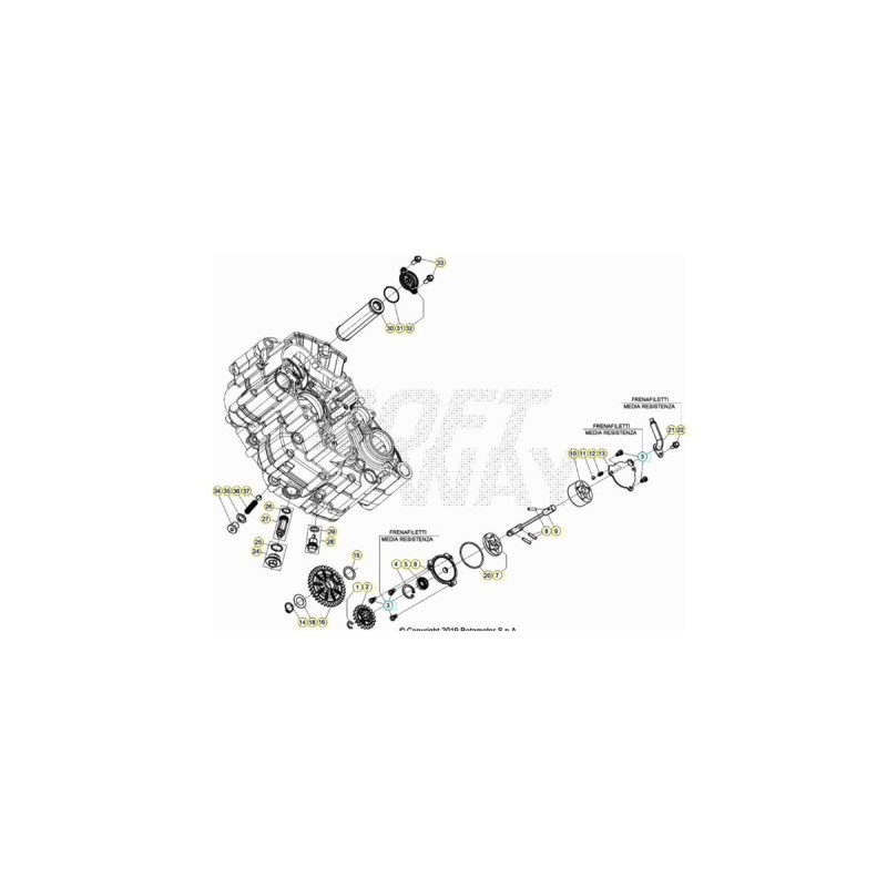 Nº 34 - TAPON M12X1,5 RR-4T - 3625062000