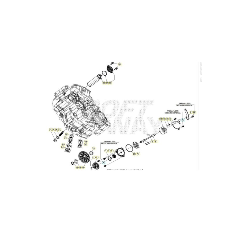 Nº 31 - TORICA OR 27 X 2 - 1066675000
