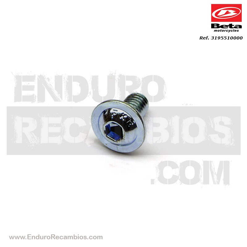 Nº 56 - TORNILLO DIN 7380+ARANDELA M-06 X 012 ZN - 3195510000