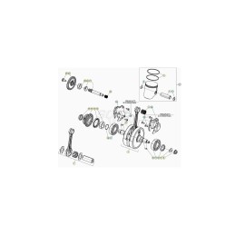 Nº 5  - SEEGER PISTON D.18 - 036.02.005.00.00