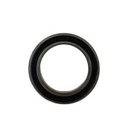 COJINETE 61805-2RS1 - 1293405000