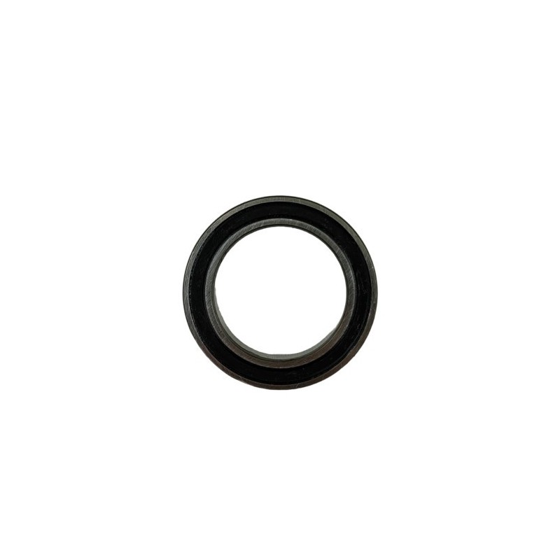 COJINETE 61805-2RS1 - 1293405000