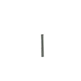 MUELLE REG. BOMBA FRENO - 2238704000