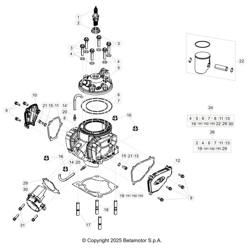 BUJIA NGK BR8 ECM 250CC - 1225123000