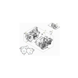 CARTER MOTOR RR 2T - 026010448000