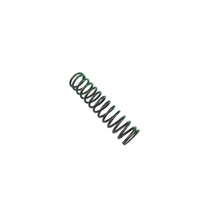 MUELLE REGULACION 300 CC (VERDE) - 026090190000