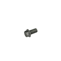TORNILLO 8.16 RS C/ARANDELA CH.10 - 1154521000