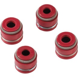 Kit de retenes de válvula de admisión y escape Viton/PTFE Moose Racing KTM RFS