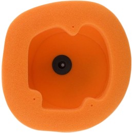 Filtro de aire Twin Air Beta E250