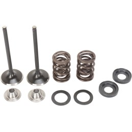 Kit de válvula de admisión de acero inoxidable Moose Racing KTM 450EXC