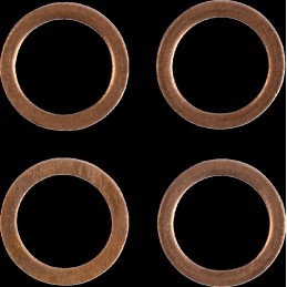 Latiguillo de freno de acero inoxidable trenzado Moose Racing - H02-1-036/P-CL
