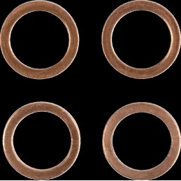 Latiguillo de freno de acero inoxidable trenzado Moose Racing - H02-2-038/P-CL
