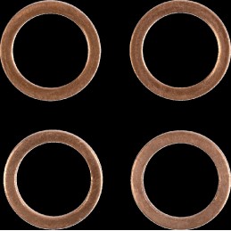 Latiguillo de freno de acero inoxidable trenzado Moose Racing - H02-2-044/P-CL