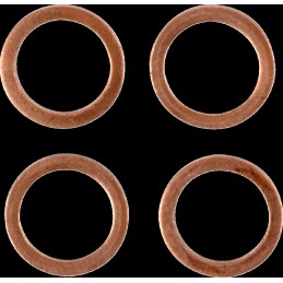 Latiguillo de freno de acero inoxidable trenzado Moose Racing - K02-2-016/P