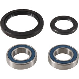 Kit de rodamientos de rueda Moose Racing - 25-1753