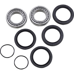 Kit de rodamientos y retenes de rueda trasera Moose Racing Polaris Predator 500