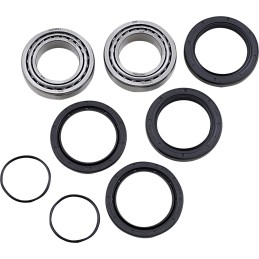 Kit de rodamientos y retenes de rueda trasera Moose Racing Polaris Predator 500