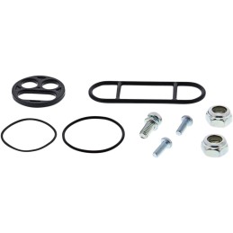 Kit de reparación de grifo de gasolina Moose Racing Arctic Cat - 60-1030