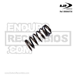 MUELLE EMBRAGUE (14,3x18,9x40,3) 8000A0730