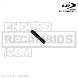 PERNO DIN 916 M6X25 PF0916006025