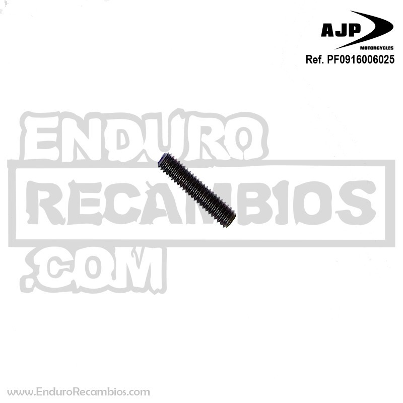 PERNO DIN 916 M6X25 PF0916006025