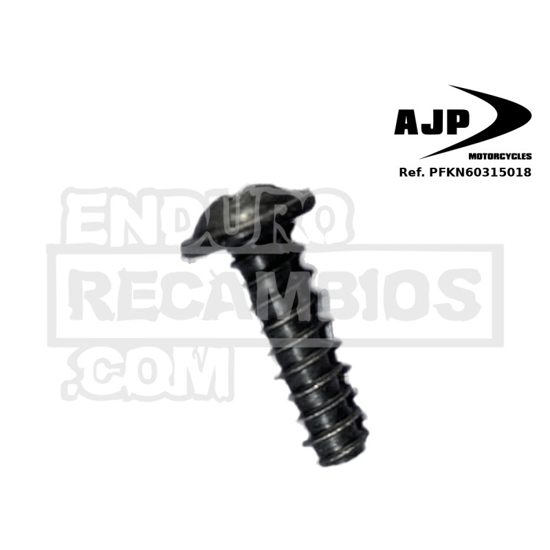 Tapa filtro de aire de tornillo (10.9 KN6031 – 5.0x18) para AJP PFKN60315018