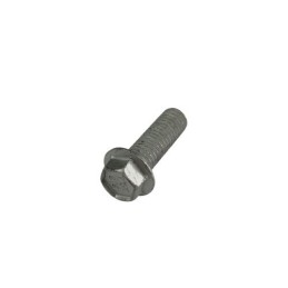 TORNILLO ESPECIAL 8X25 CH10 - 3164070000