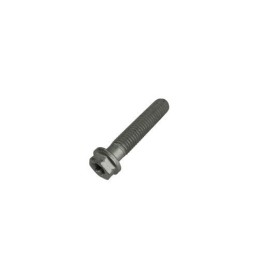 TORNILLO 8.40 ALP 200/08 - 1155510000