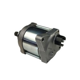 MOTOR ARRANQUE - 026070118000