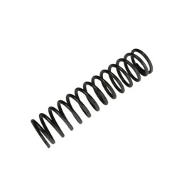 MUELLE REGULACION 250 CC - 026090210000