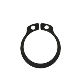 SEEGER PARA EJE D.19 - 3300070000