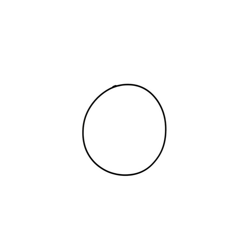 TORICA OR 105.2 VITON - 1066978000