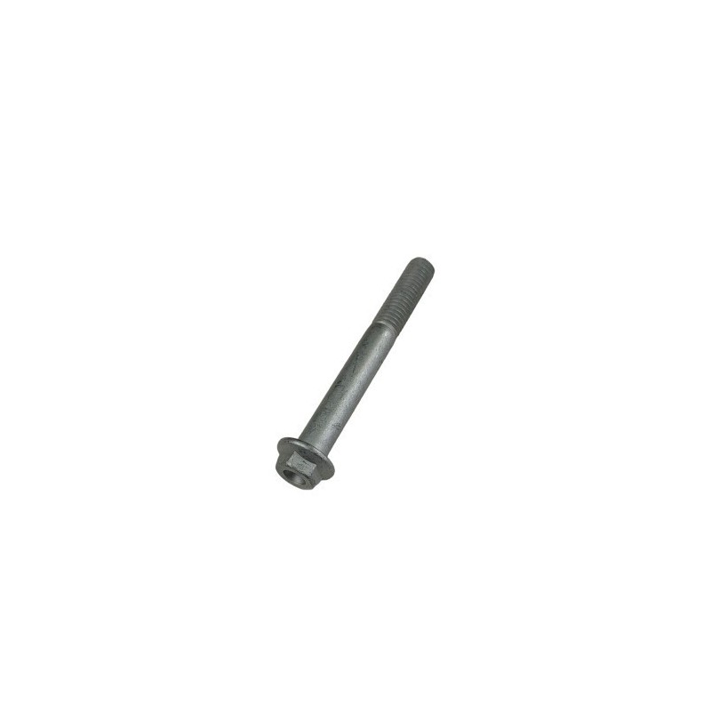 TORNILLO 8 X 65 - C24310450000