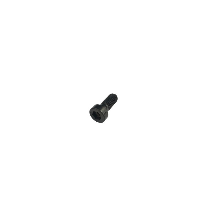 TORNILLO 10X25 RR-4T - 3165626000