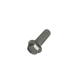TORNILLO ESPECIAL 8X25 CH10 - 3164070000