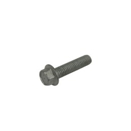 TORNILLO 6,25 RS CH 8 - 1150010000