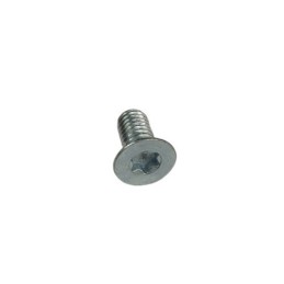 TORNILLO TSP TORX M6X12 - 10.9/12.9 - C24900020000