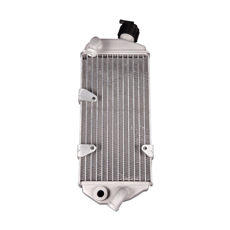 RADIADOR DX - 036390018000