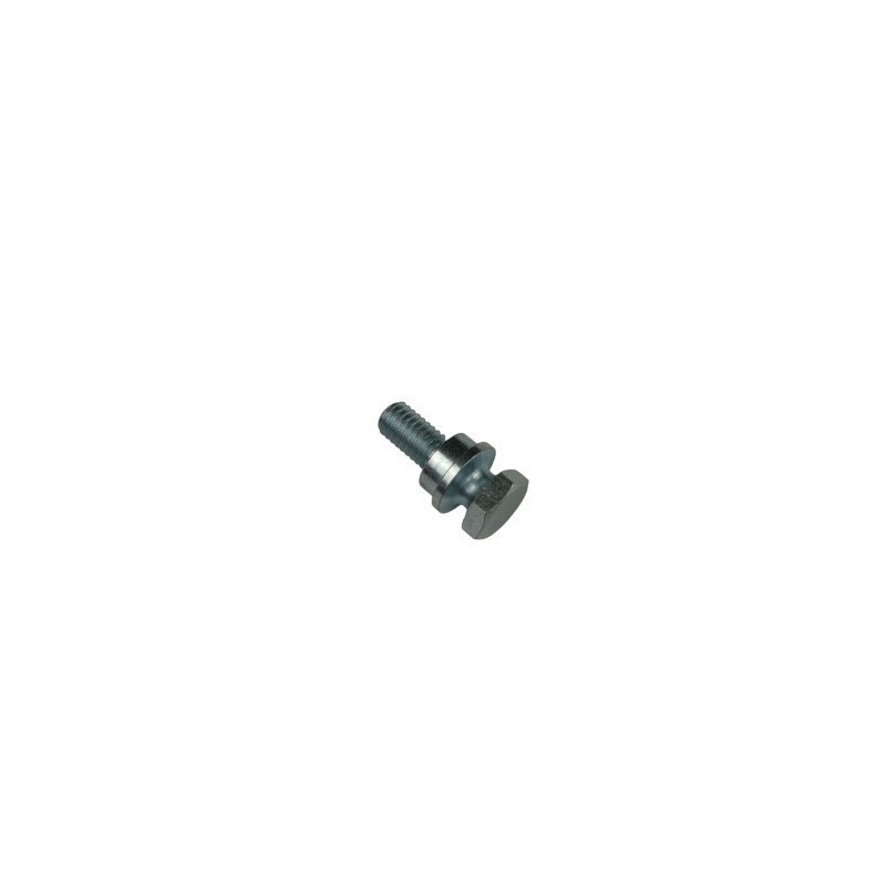 TORNILLO ESP. CAVALLETE RR 4T 2008 - 1166615000