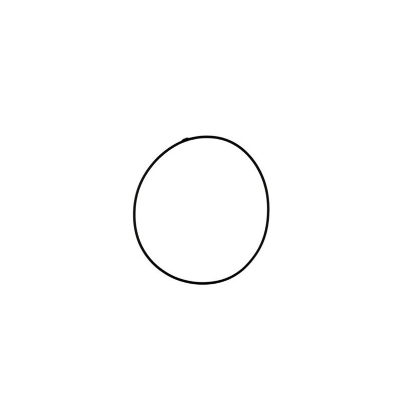 TORICA OR 105.2 VITON - 1066978000
