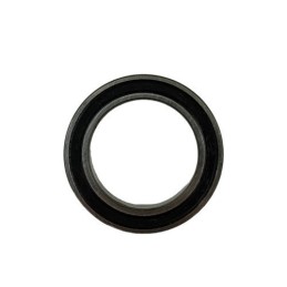 COJINETE 61805-2RS1 - 1293405000