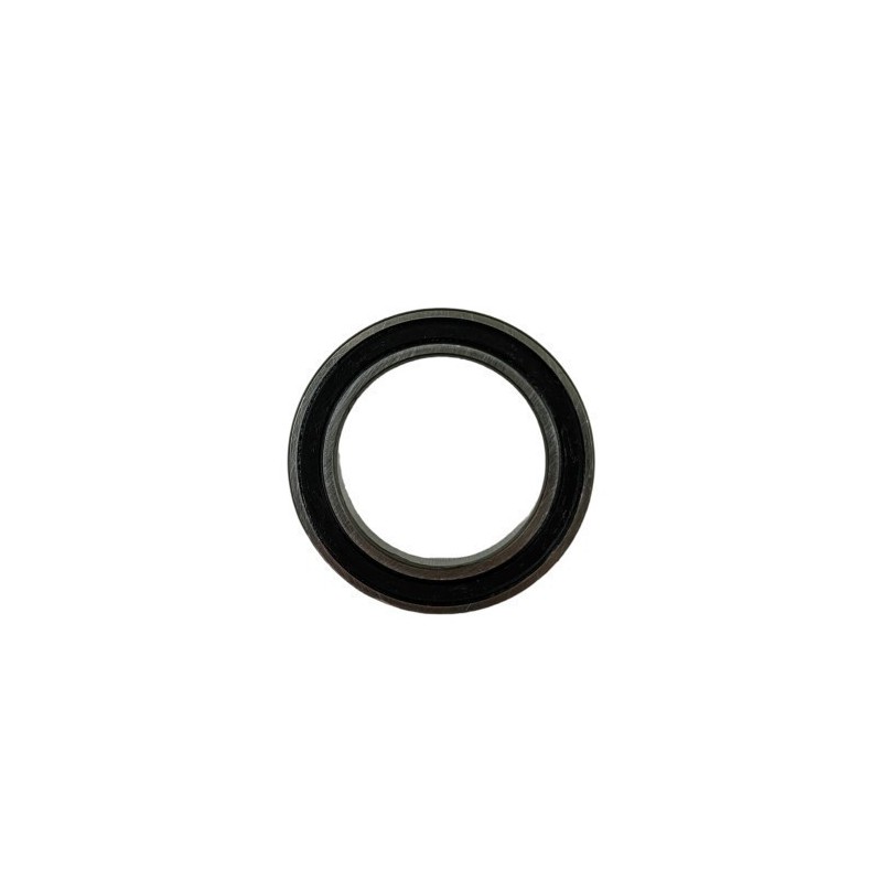 COJINETE 61805-2RS1 - 1293405000